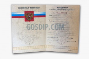 аттестат за 11 класс 2007, 2008, 2009